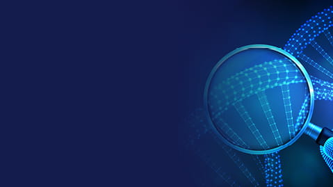 International Life Sciences Newsletter | Legal Lens