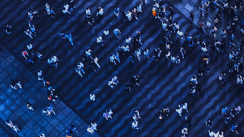 AI-assisted employment tool