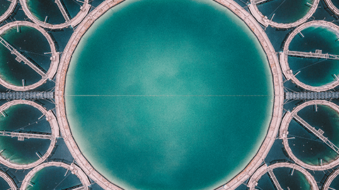 The Waterfall podcast - Episode 1