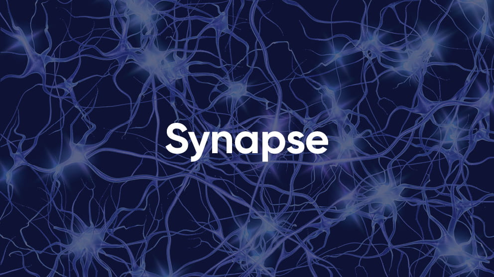 Synapse