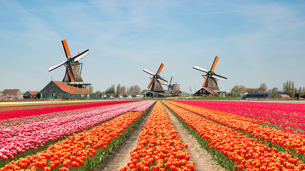 Glass.Mapper.Sc.Fields.Image?.Alt