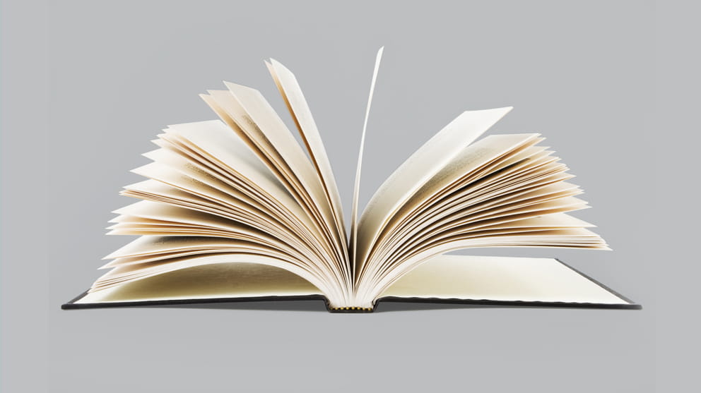 Glass.Mapper.Sc.Fields.Image?.Alt