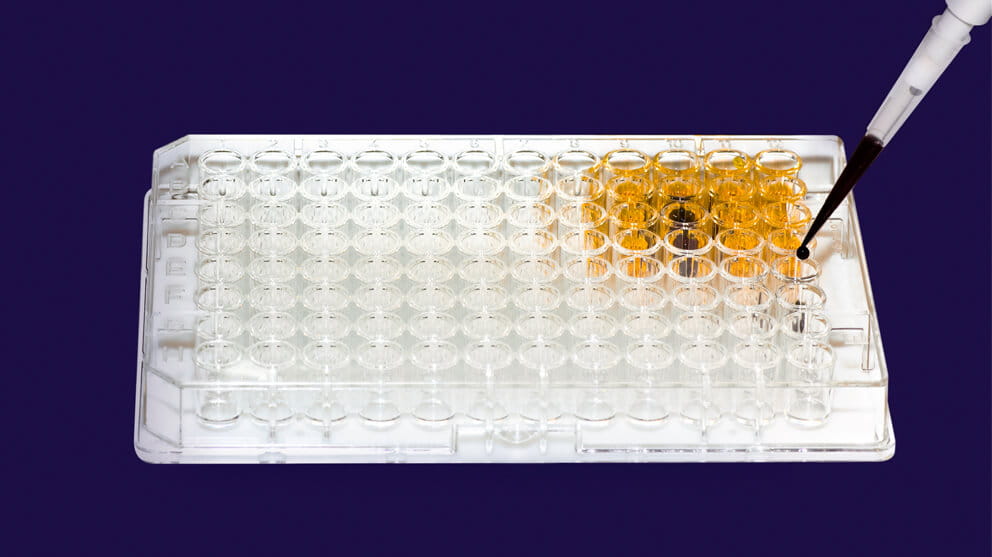 Pipette injecting liquid into microtiter plate on white background