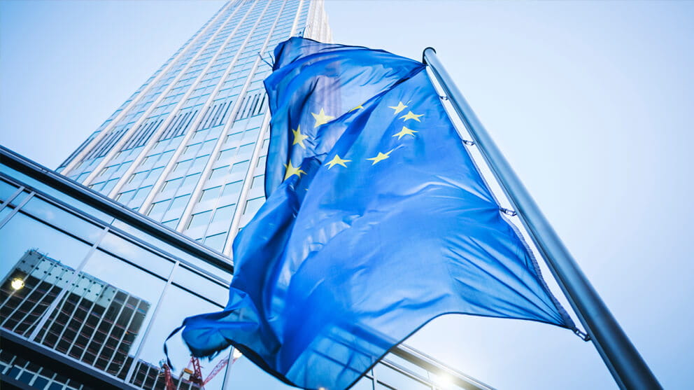 flag of the european community