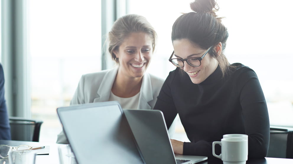 Two people working with laptop during meeting