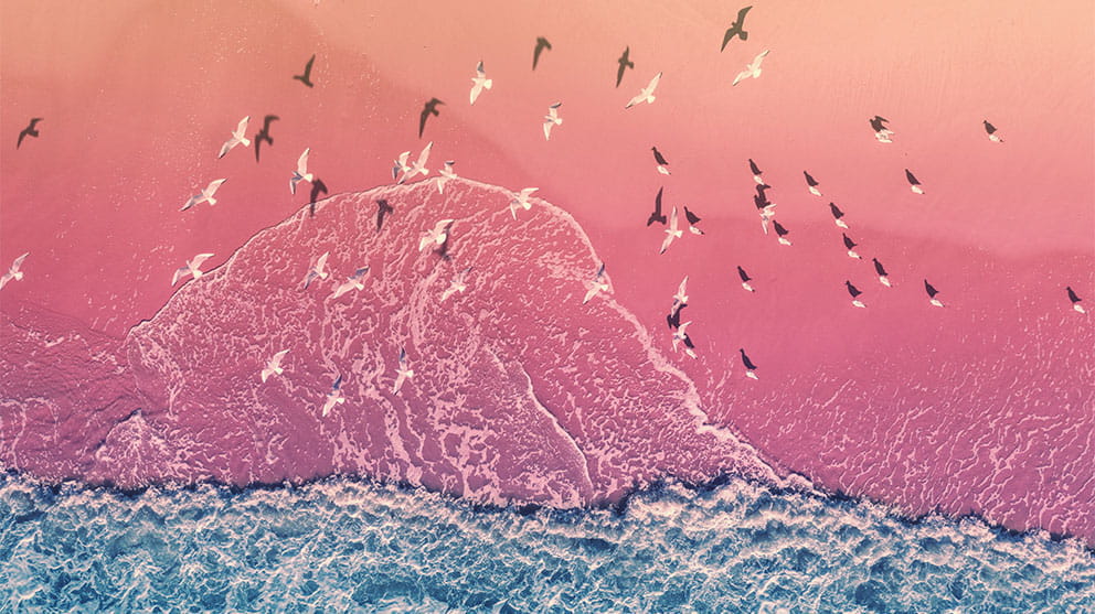 Glass.Mapper.Sc.Fields.Image?.Alt