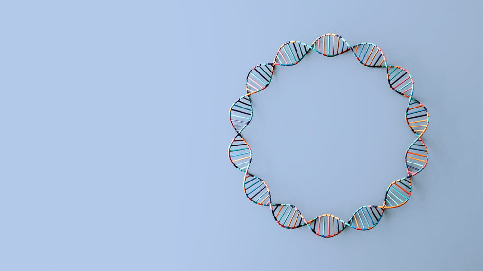 Glass.Mapper.Sc.Fields.Image?.Alt