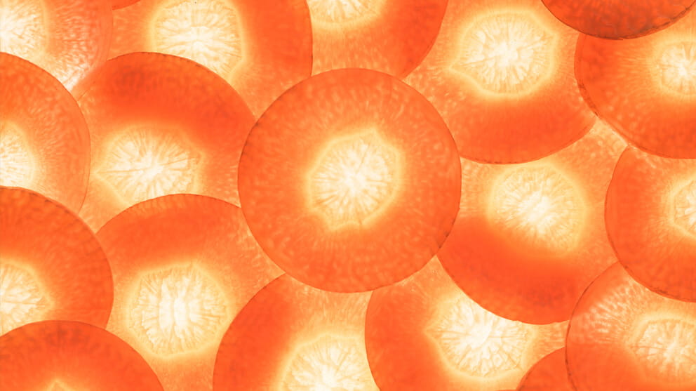 Glass.Mapper.Sc.Fields.Image?.Alt