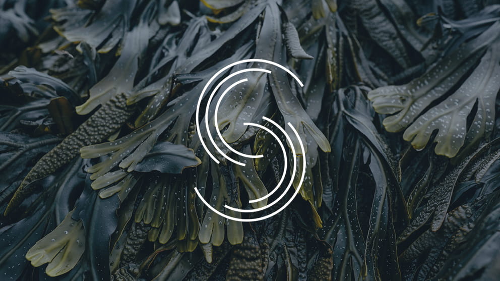 Glass.Mapper.Sc.Fields.Image?.Alt