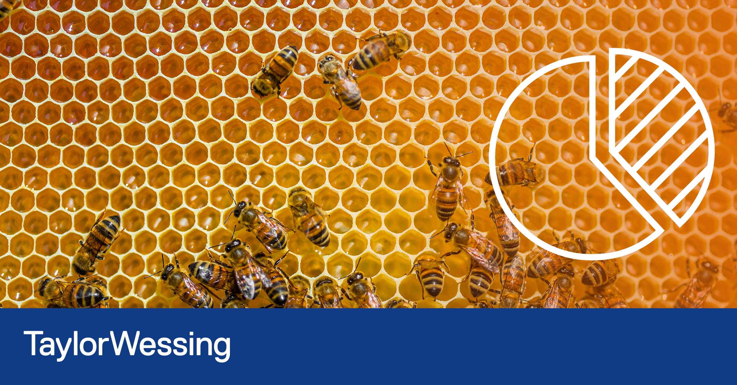 Glass.Mapper.Sc.Fields.Image?.Alt